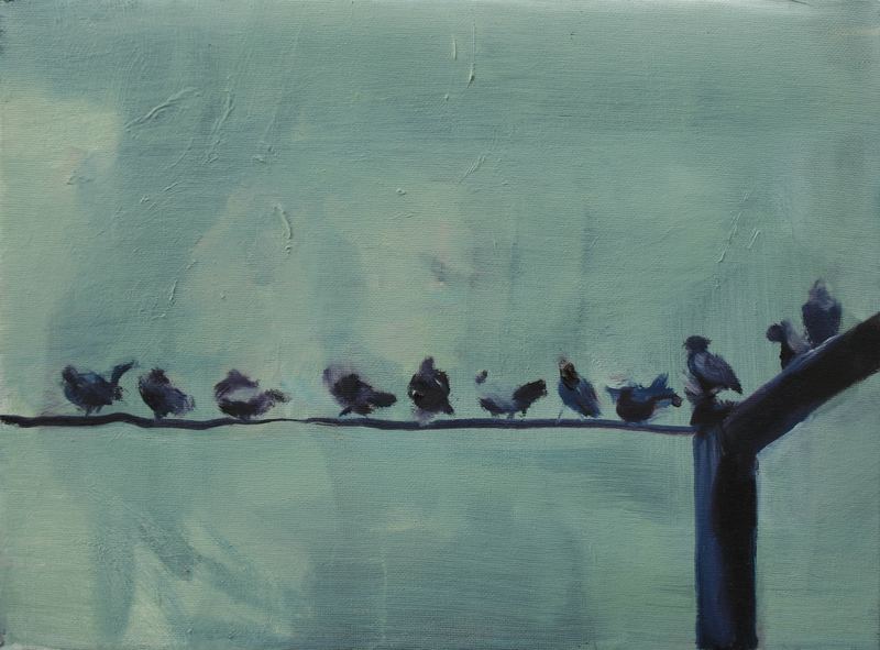 Citybirds
